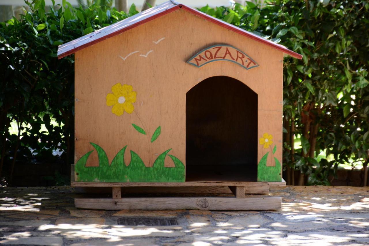 Mozart House Studio Amarynthos Luaran gambar