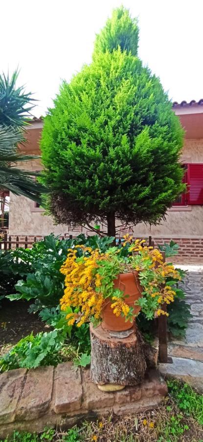 Mozart House Studio Amarynthos Luaran gambar