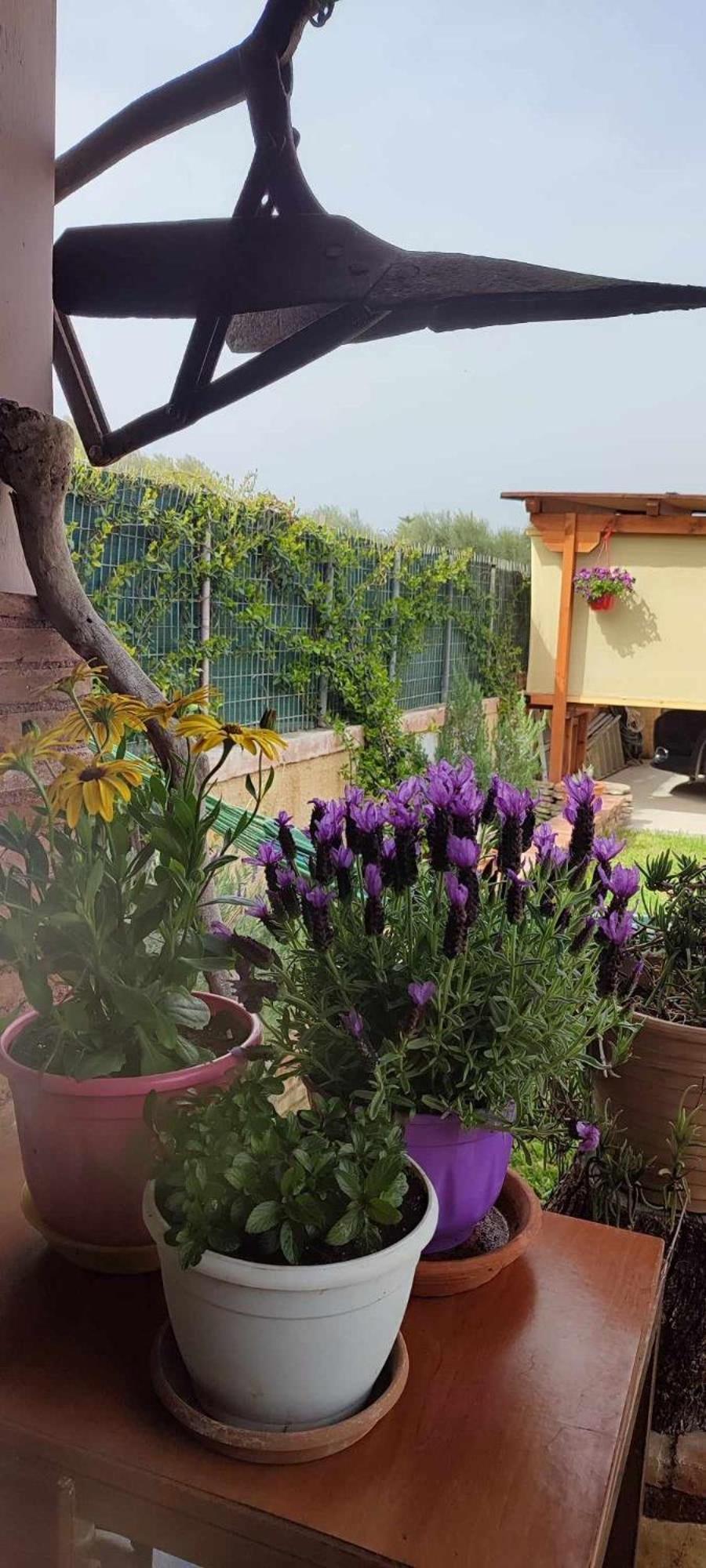 Mozart House Studio Amarynthos Luaran gambar